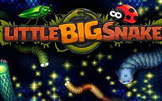 Little big snake io